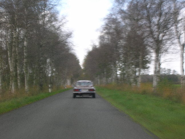 Saisonabschluss der Heidebriten 2006